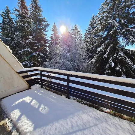 Cosy 1 Chambre, Renove Avec Terrasse Exposee Sud