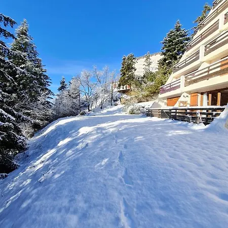 Apartment Cosy 1 Chambre, Renove Avec Terrasse Exposee Sud