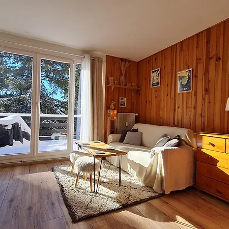 Appartement Cosy 1 Chambre, Renove Avec Terrasse Exposee Sud